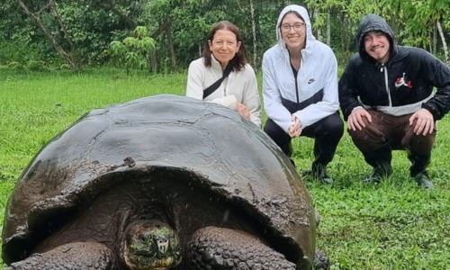 Lílian, Ludmila e Jorge